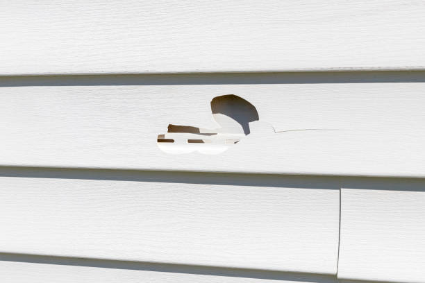 Best Weatherproofing and Sealing  in South Henderson, NC
